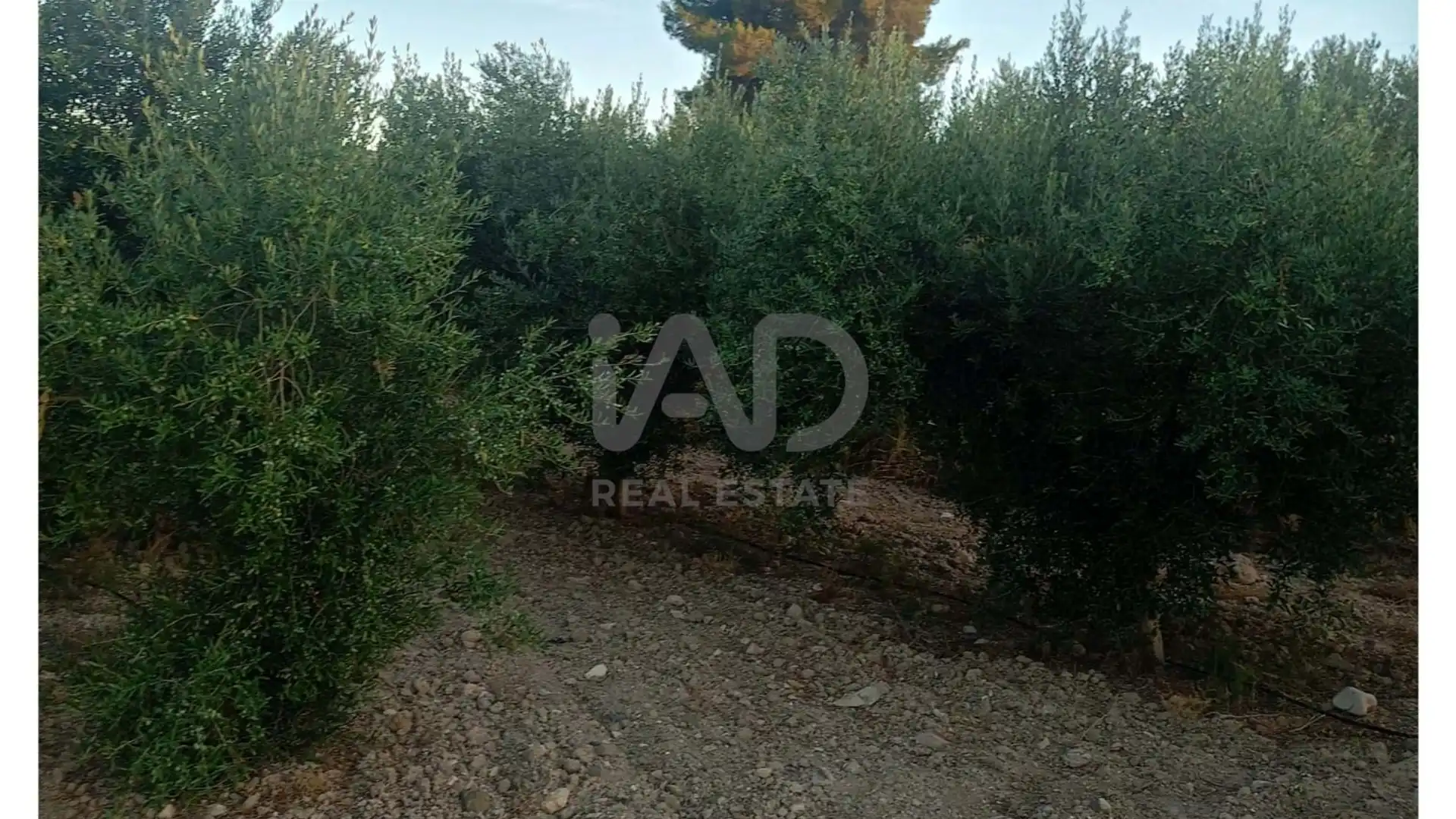 Residencial en venda a Parrilla