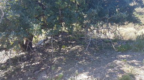 Foto 4 von Grundstücke zum Verkauf in Los Rueda, Camino Viejo de Málaga, Vélez-Málaga