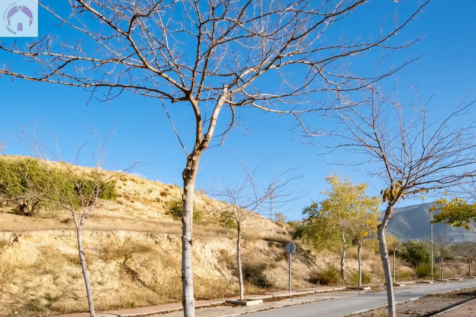 Industrial land for sale in Alfacar, imagen 17