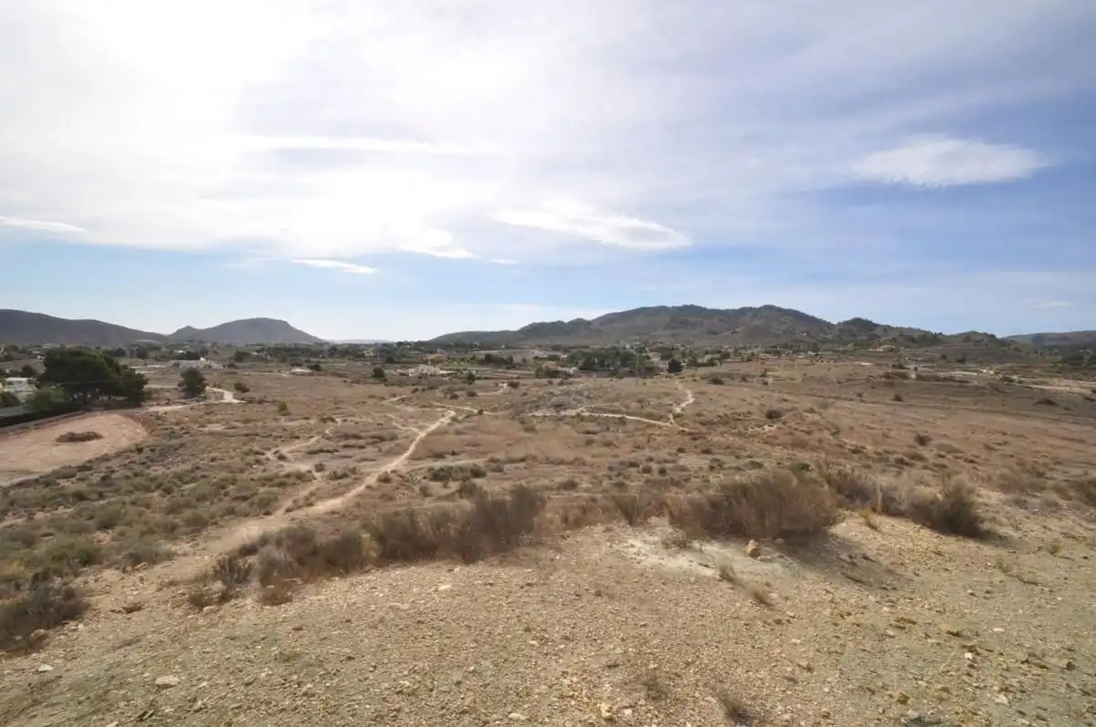 Detached house for sale in Monóvar  / Monòver, imagen 16