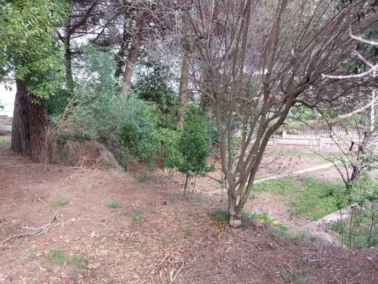 Residential land for sale in Calle Cova Simanya, imagen 25