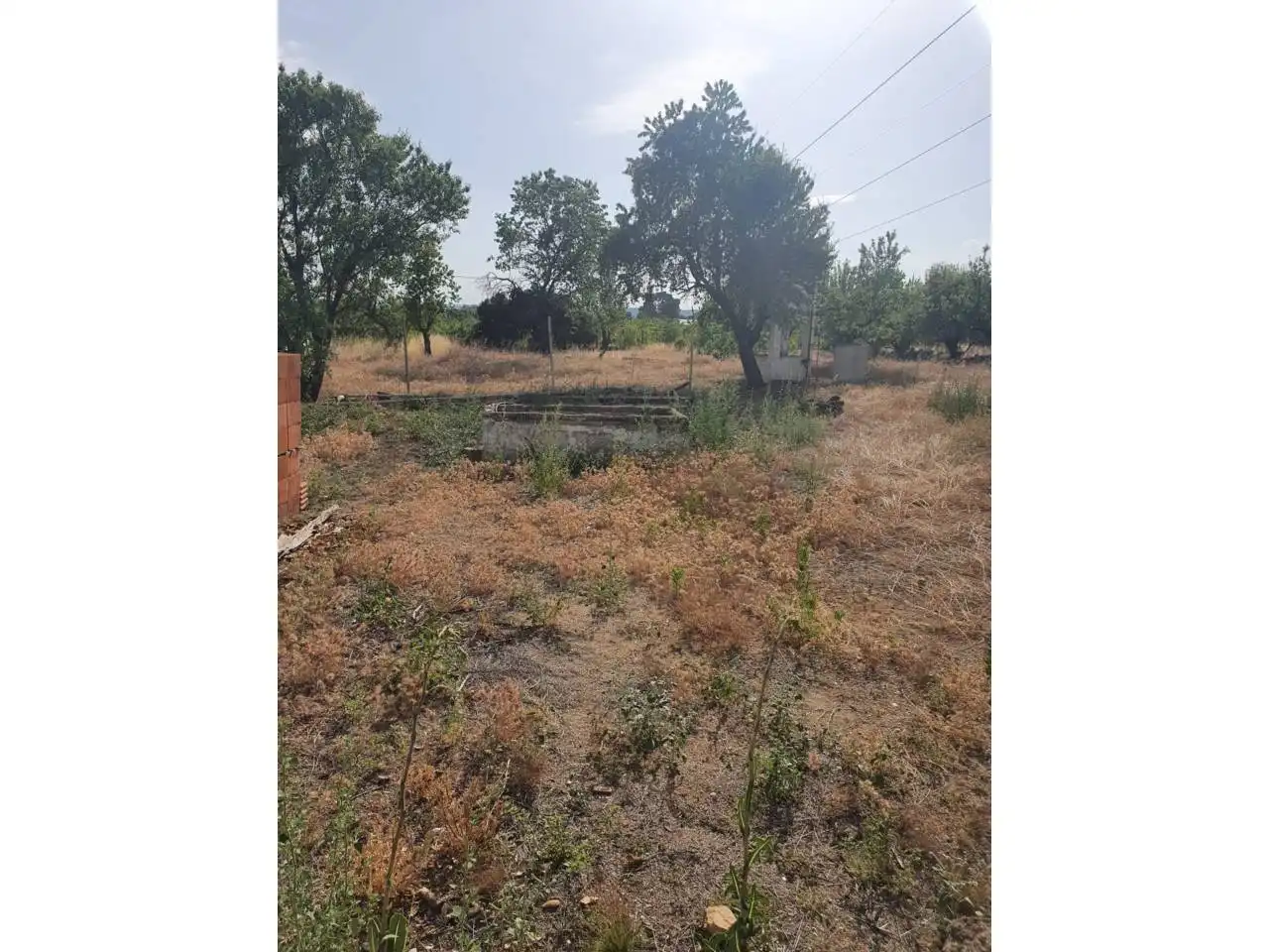 Finca rústica en venta en Torreperogil