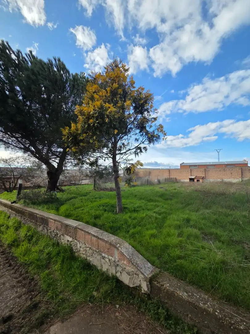Nau industrial en venda en San Andrés del Rabanedo