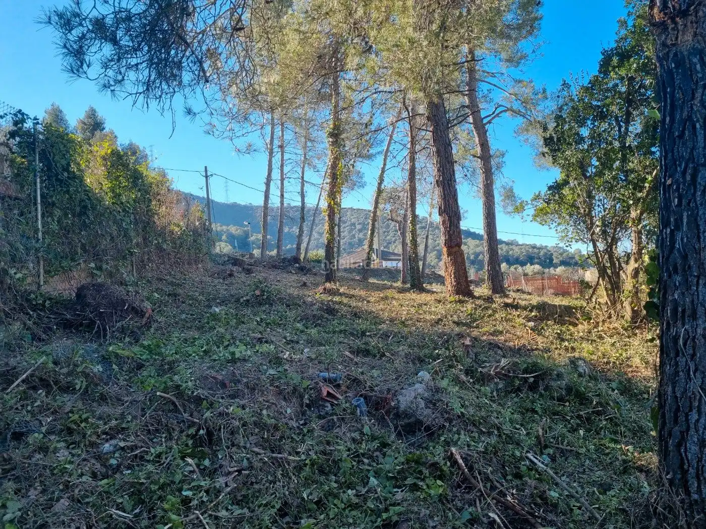 Terreno residencial en venta en Carrer Sant Sever 22, imagen 3