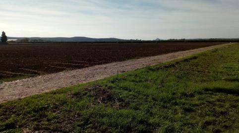 Photo 3 of Residential for sale in Encinarejo de Córdoba, Córdoba