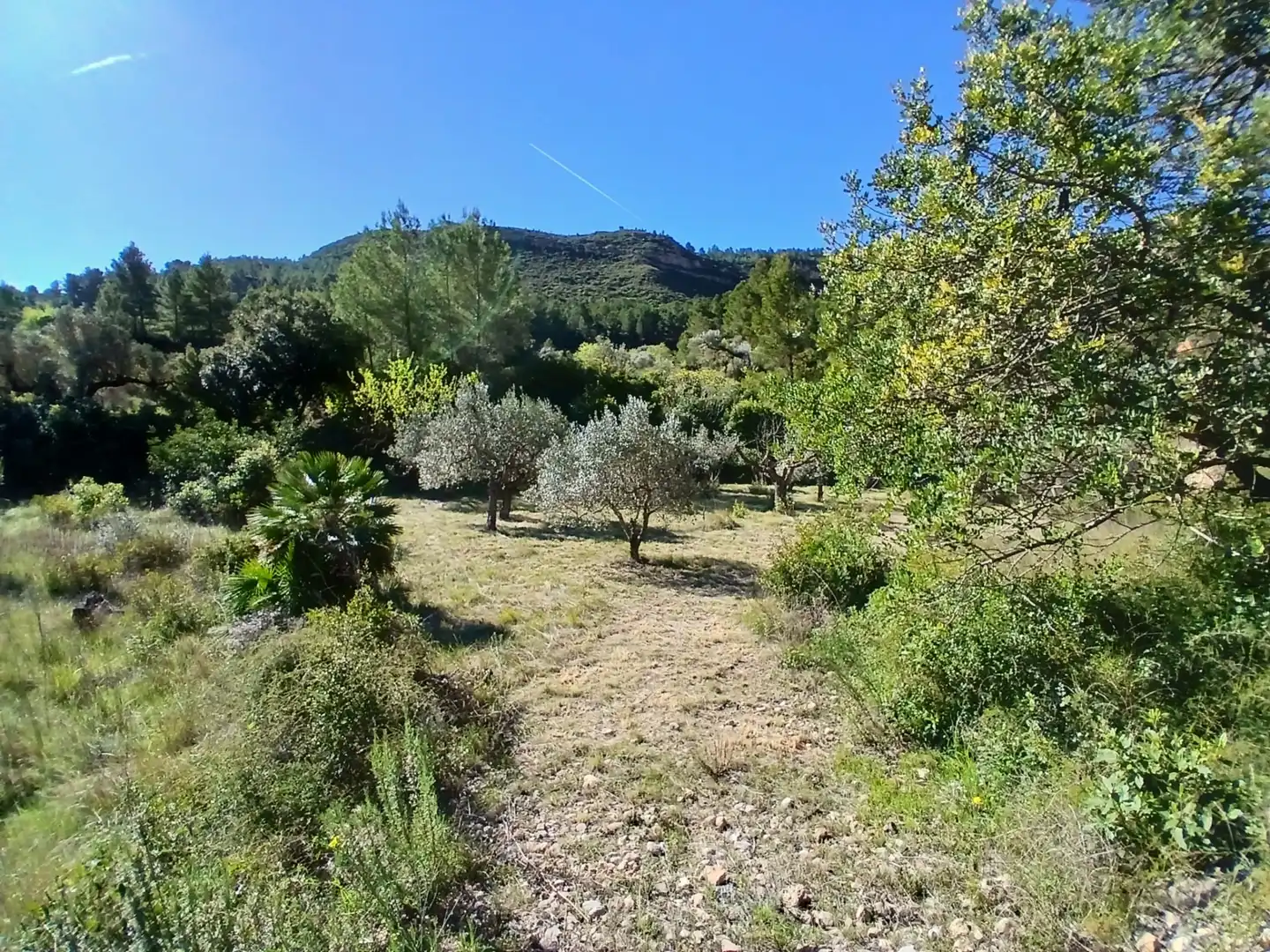 Land for sale in Prat de Comte