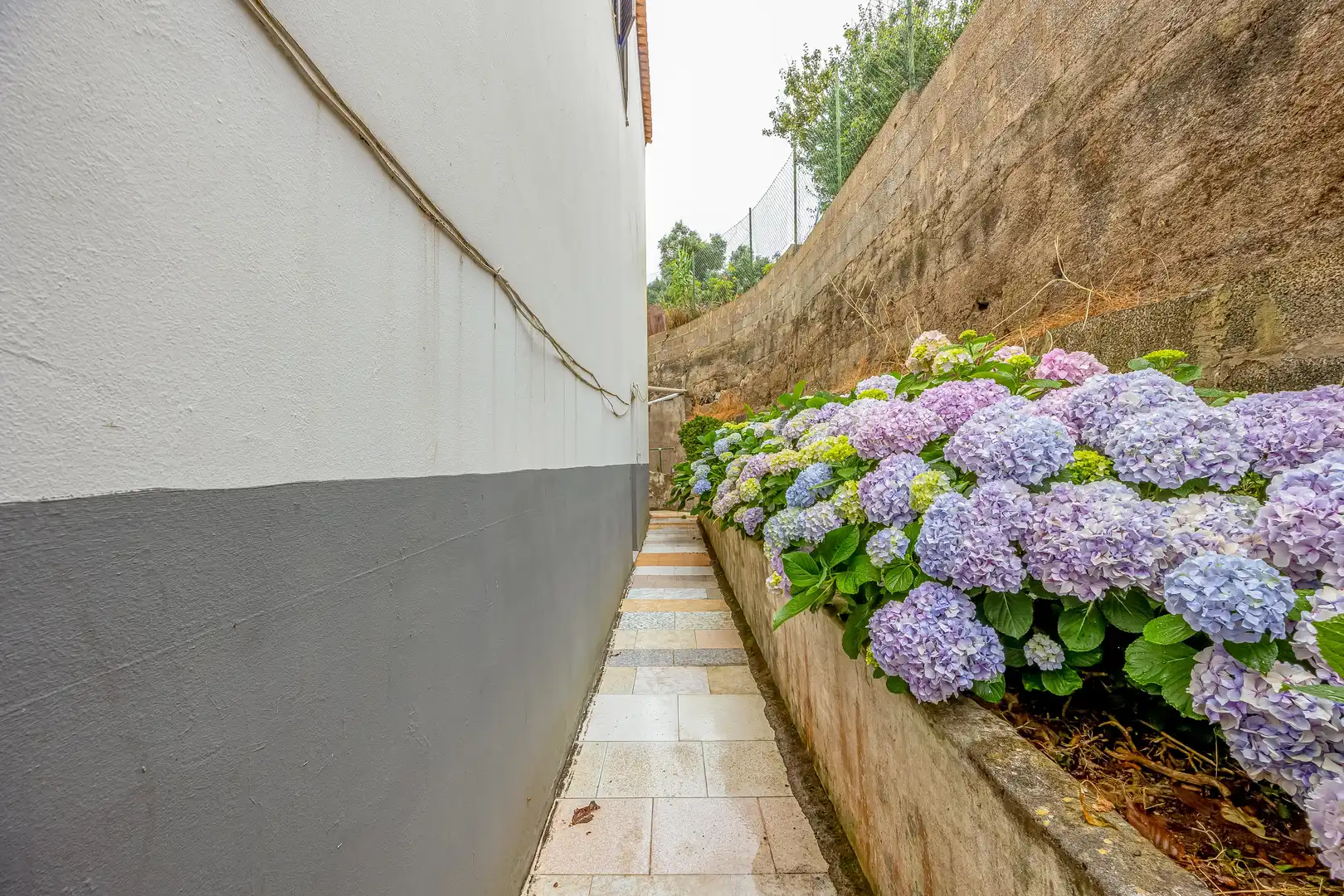 Casa o chalet en venta en Calle Sinesio Yánez Travieso, 41, El Palmar