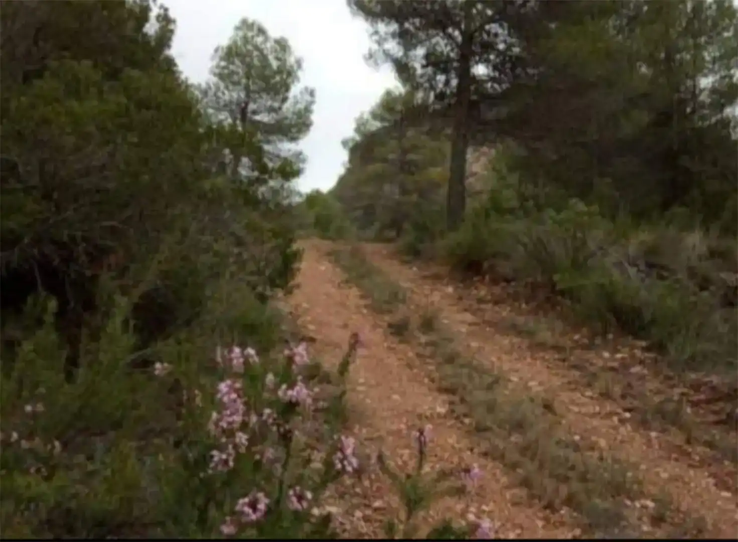 Finca rústica en venda en Beceite