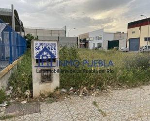 Vista exterior de Terreny industrial en venda en La Puebla del Río