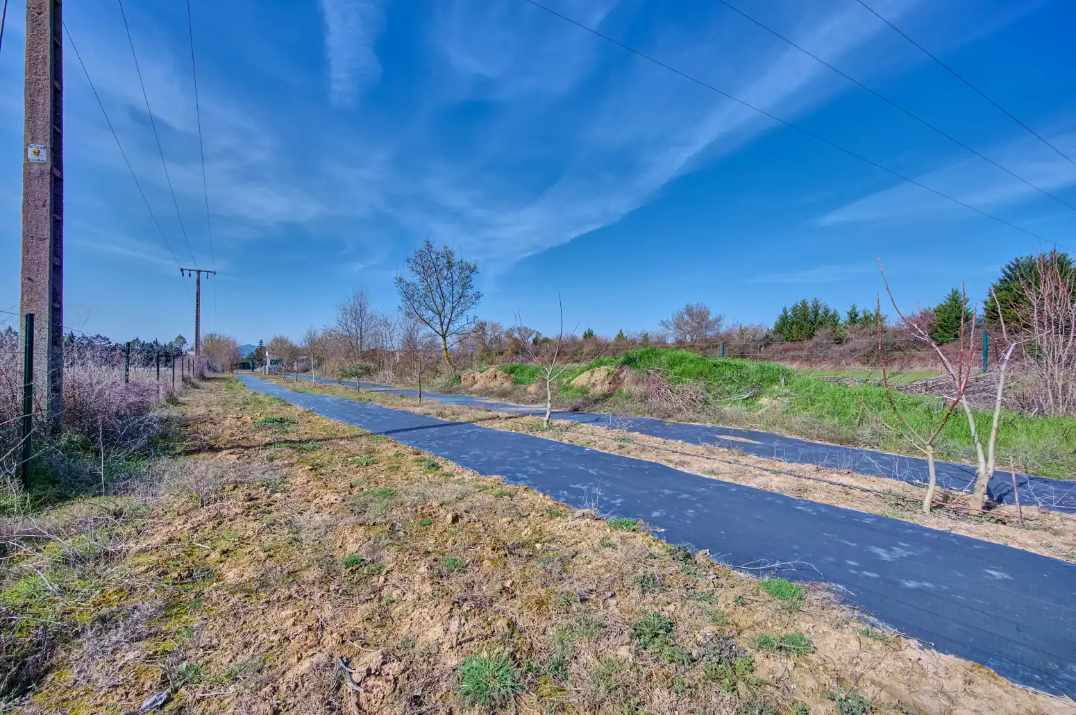 Rural land for sale in Sangüesa / Zangoza, imagen 26
