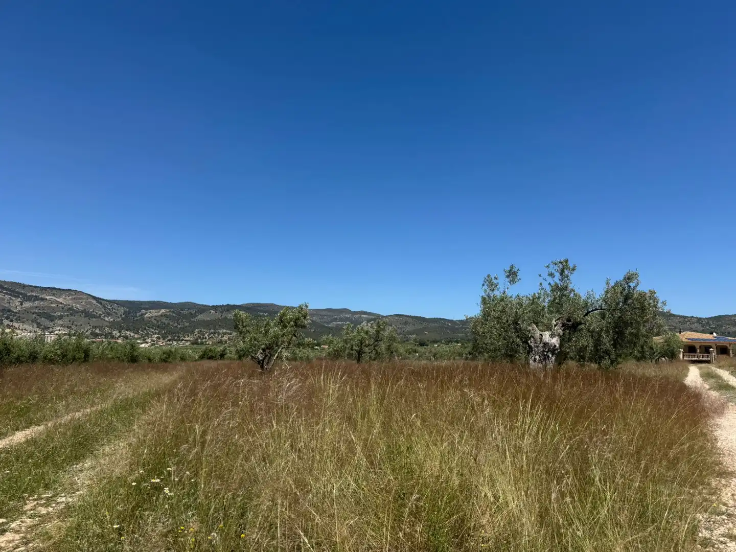 Terreny rústic en venda a Onil, imagen 3
