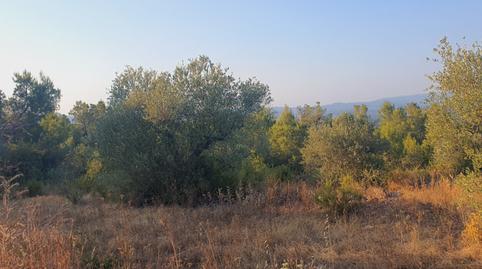 Foto 5 de Casa o chalet en venta en Rasquera, Tarragona