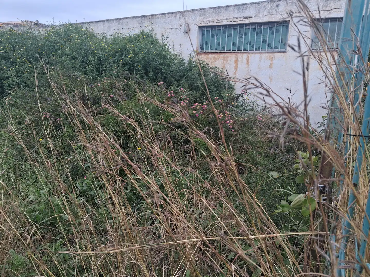 Rural land for sale in Zona Papa Luna - Platja del Gurugú, imagen 4