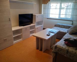 Living room of Flat to rent in Pontevedra Capital   with Heating, Parquet flooring and Furnished
