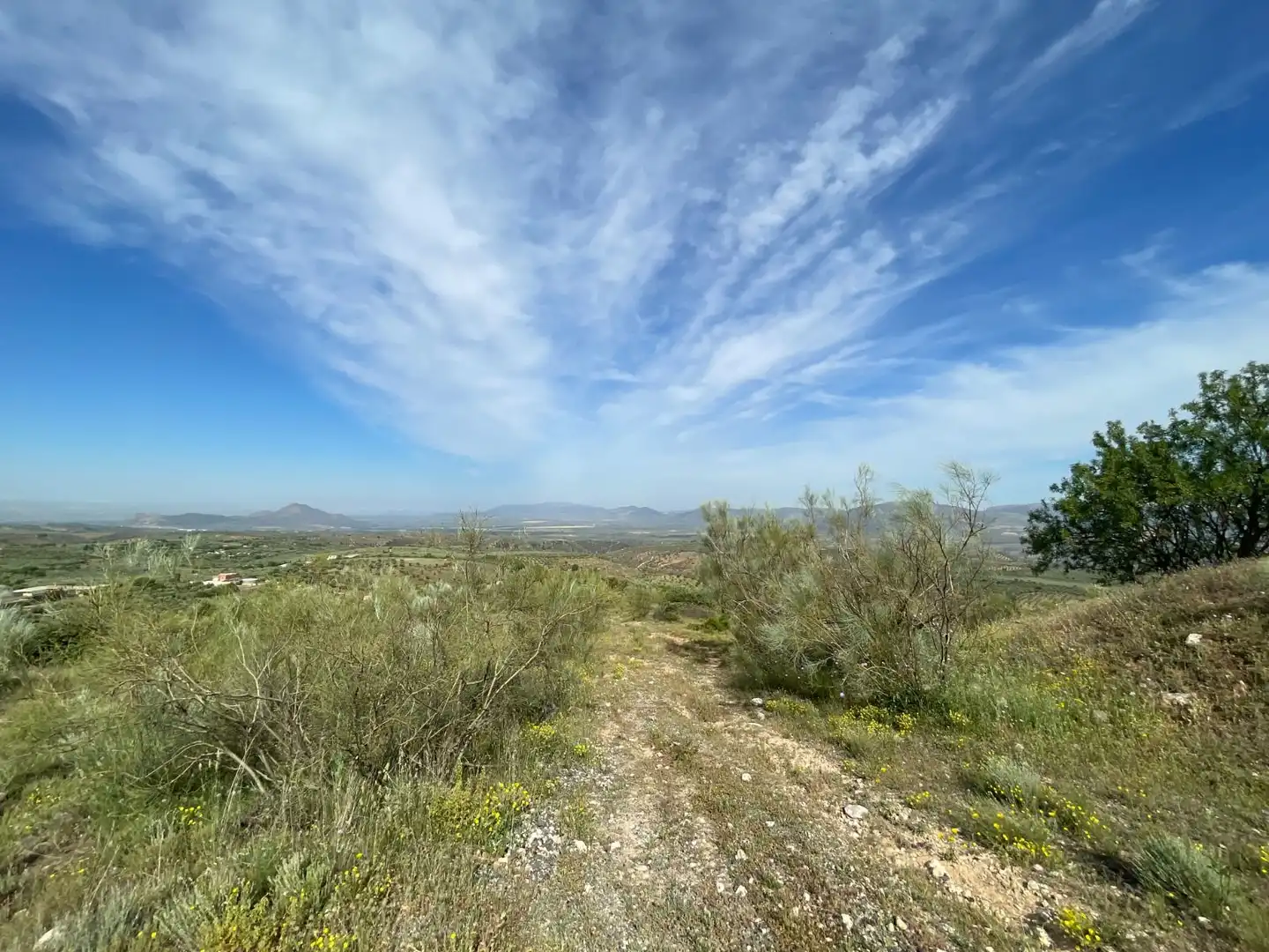 Terrenys i solars en venda a Cogollos de la Vega, imagen 4