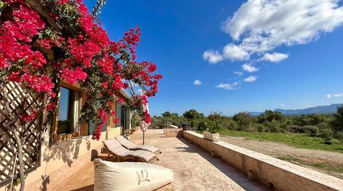 Photo 4 of Country house to rent in Santa Margalida Poble, Illes Balears