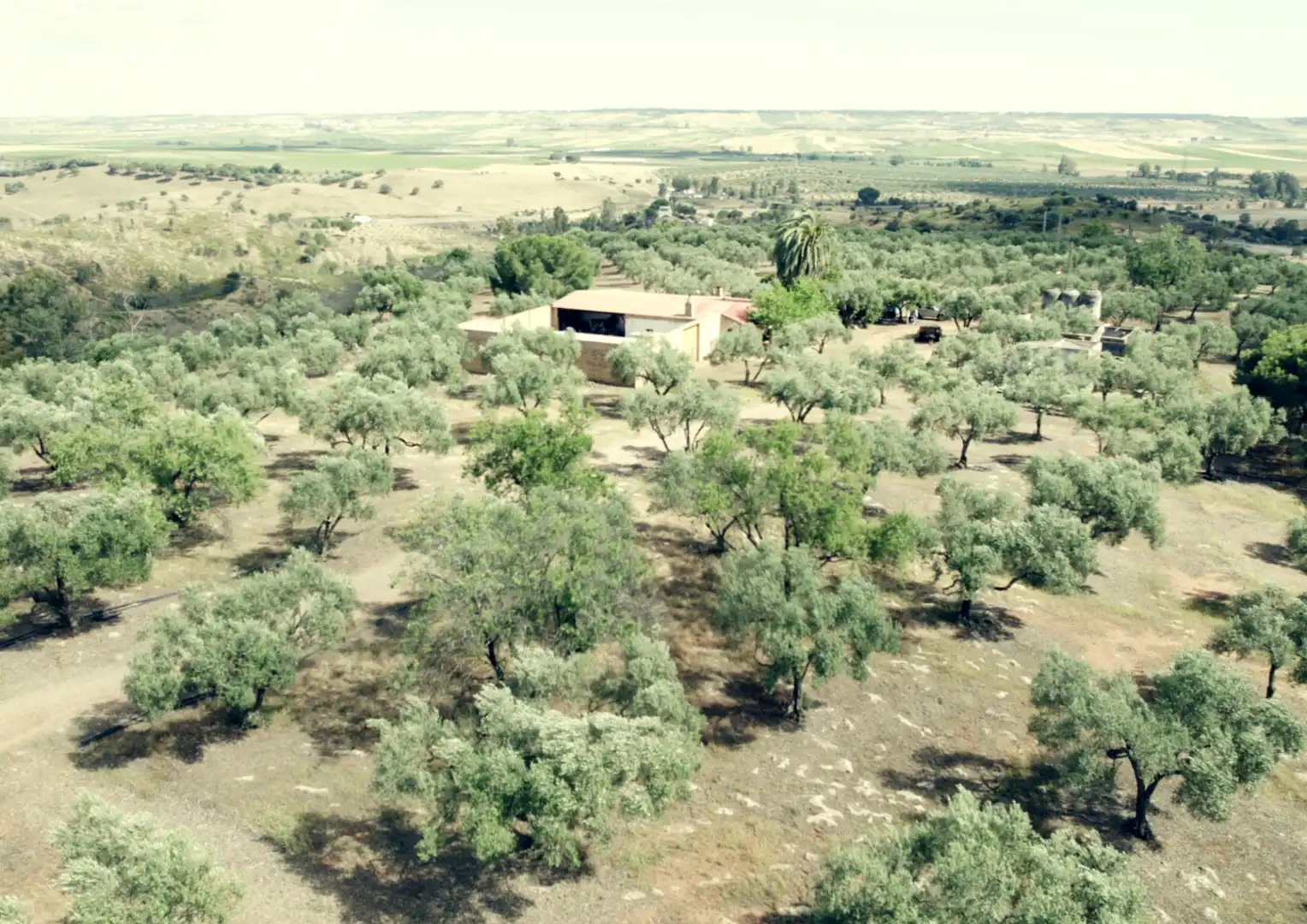 Finca rústica en venta en La Palma del Condado con Jardín privado, Terraza y Trastero