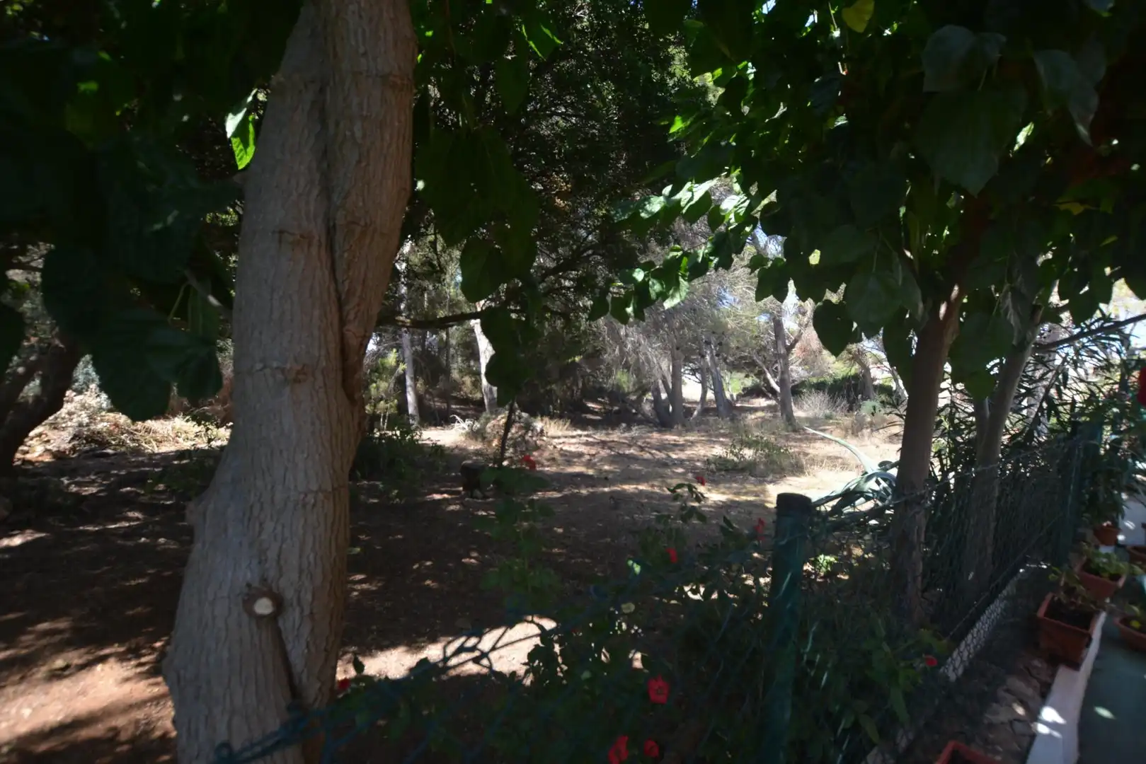 Casa o xalet en venda en Es Mercadal amb Aire condicionat, Jardí privat i Parquet