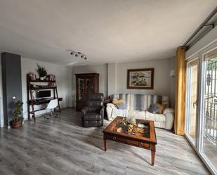 Living room of House or chalet for sale in Rivas-Vaciamadrid  with Air Conditioner, Heating and Private garden