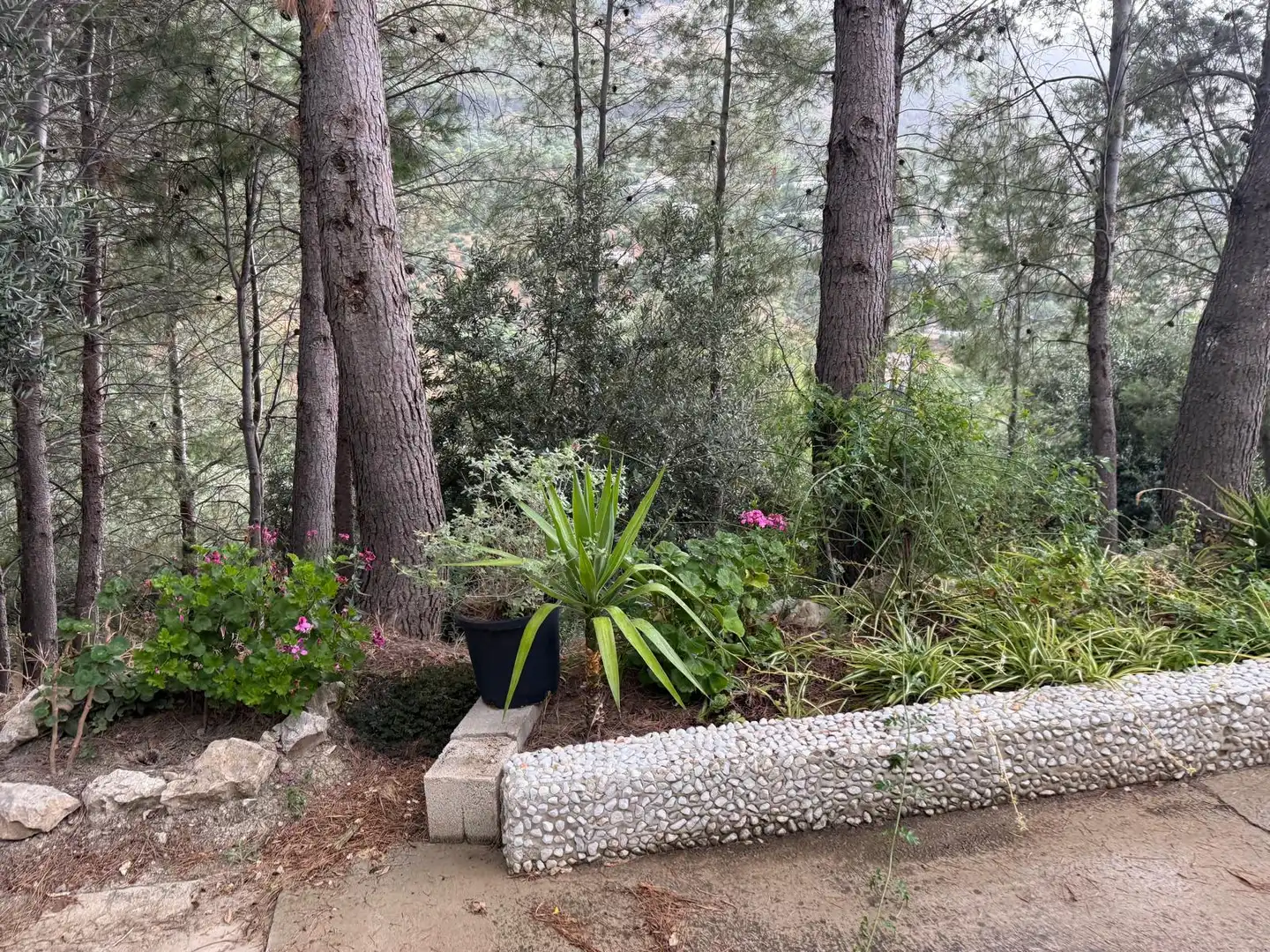 Garten von Country house zum Verkauf in Jaén mit Privatgarten, Terrasse und Schwimmbad