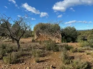Terreno rustico in vendita a Cabanes, imagen 2
