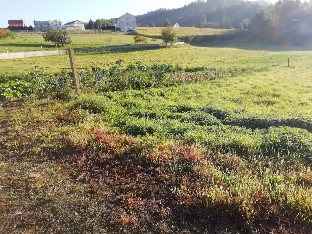 Terreni e lotti in vendita a Lugar O Formigueiro - Laracha, imagen 19