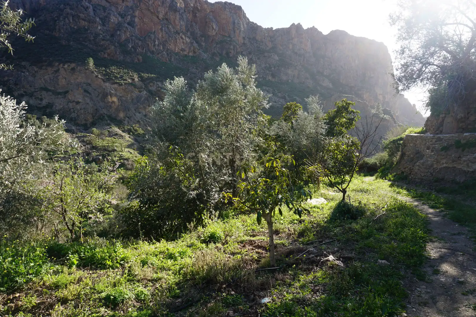 Terreni e lotti in vendita a WG79+QW Lanjarón, Spain, imagen 18