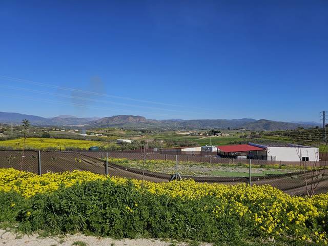 Terreno en Venta en Casalpalma - Fahala