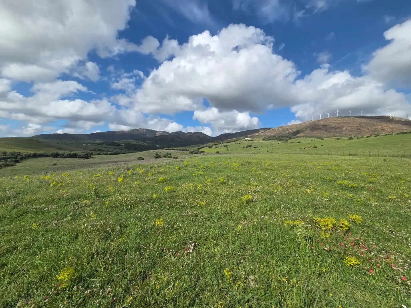 Terreno en venta en Tarifa