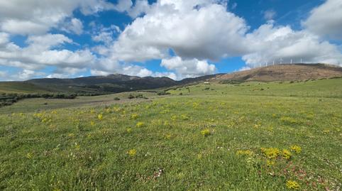 Photo 3 of Land for sale in Tarifa ciudad, Cádiz
