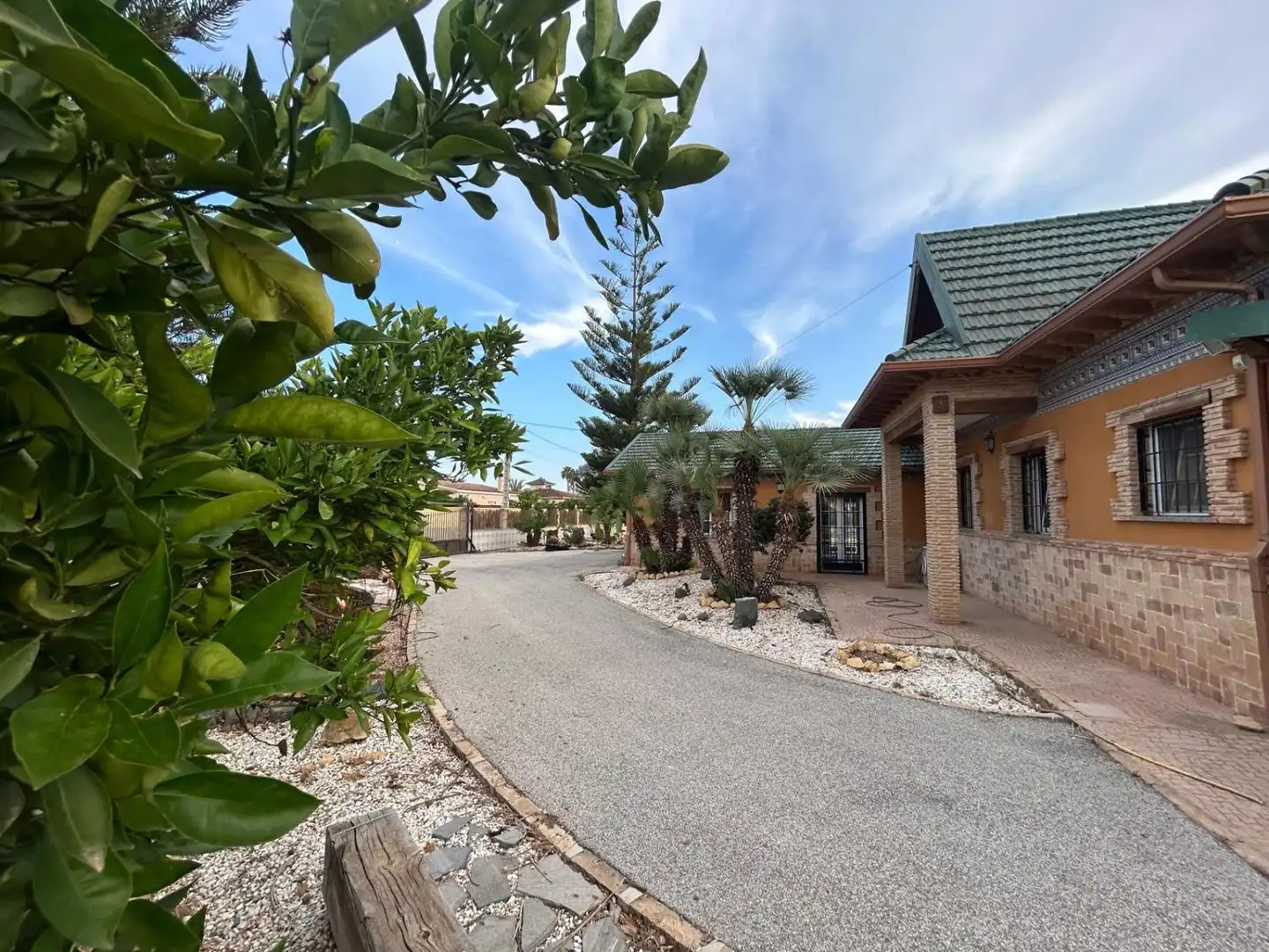 Vista exterior de Finca rústica en venta en Catral con Jardín privado, Terraza y Trastero