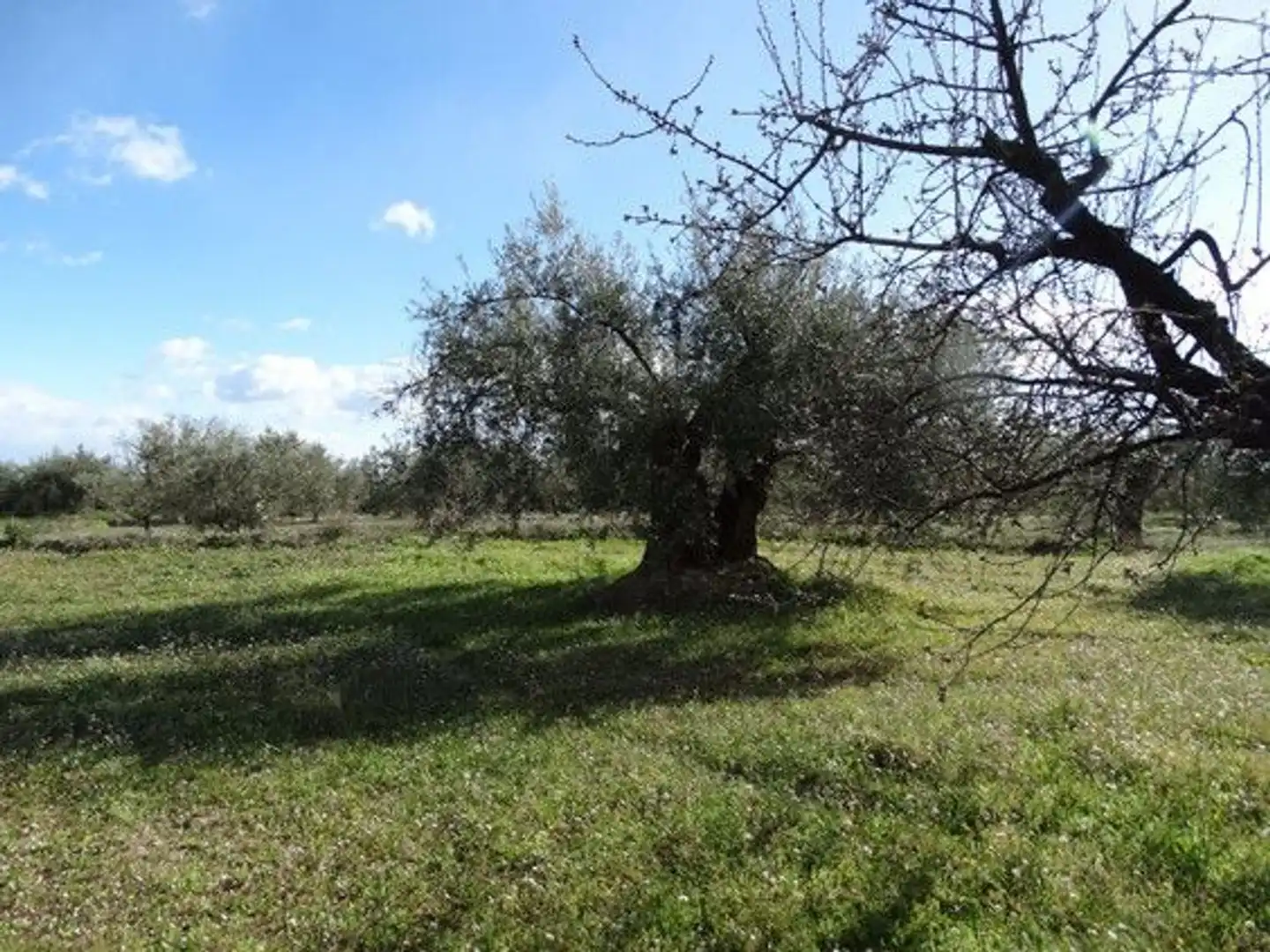 Terreni e lotti in vendita a Moratalla, imagen 14