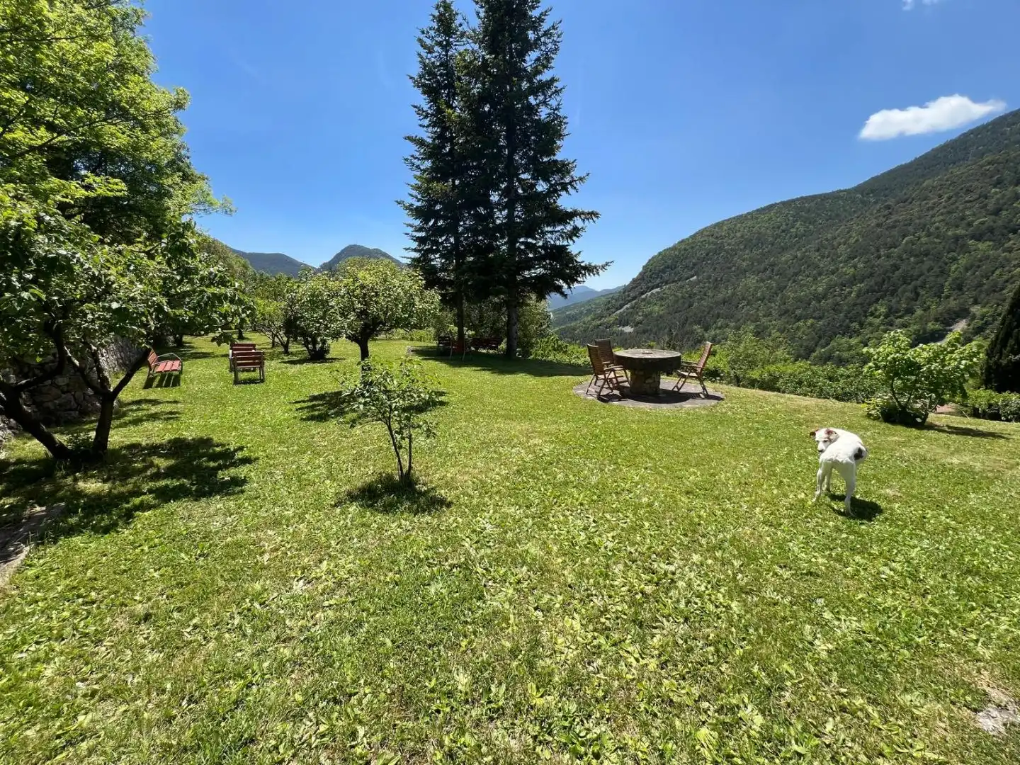 Haus mit Garten zum Verkauf in Camino de la Capellana 1, imagen 2