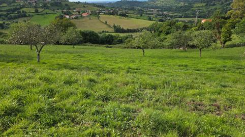Photo 4 of Land for sale in Camín de Los Quintos, 500, Lavandera, Asturias