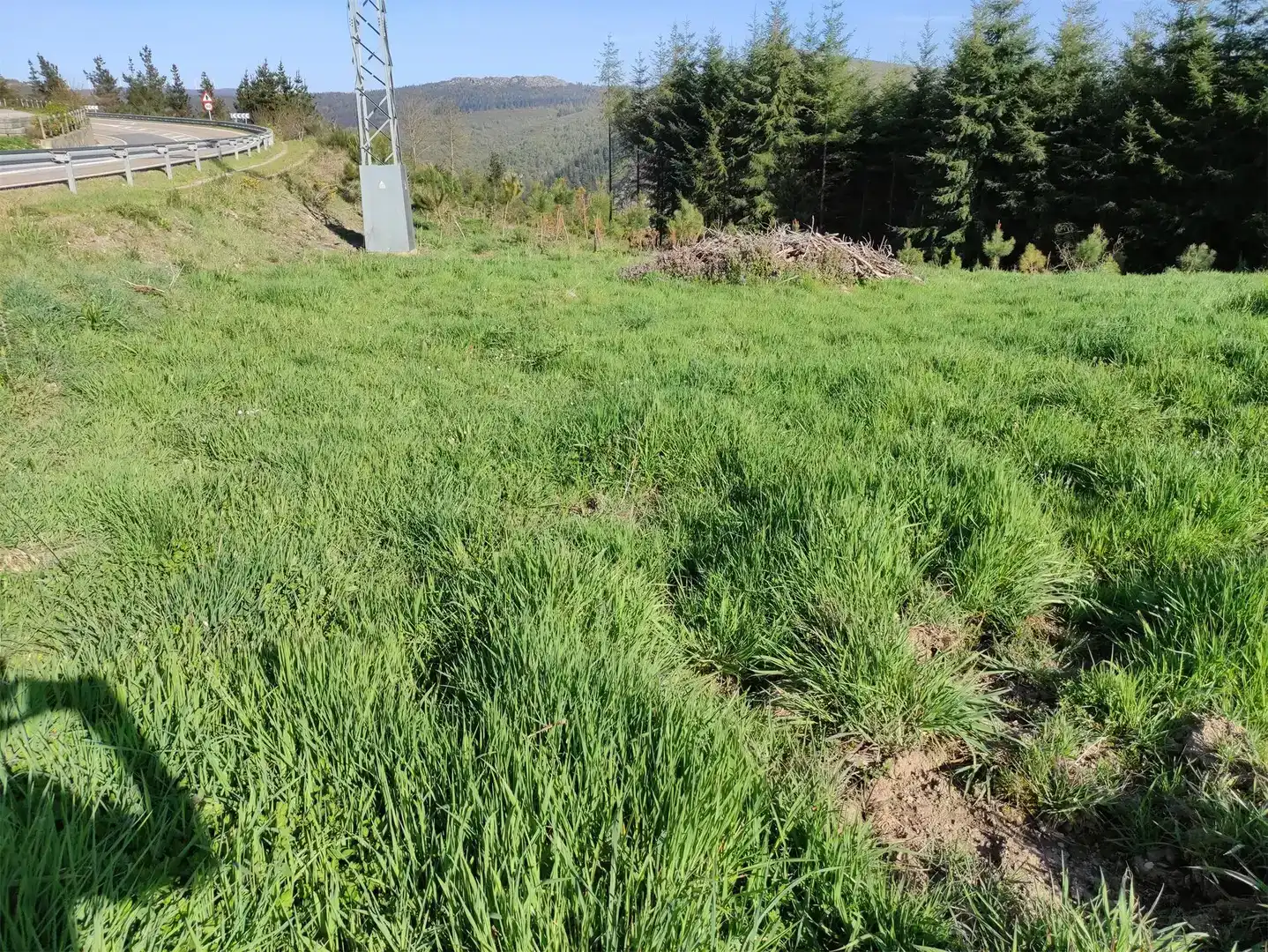 Terreno en venta en A Fonsagrada , Lugo