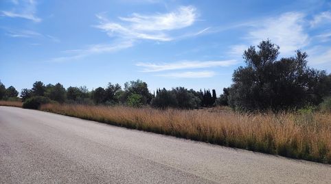 Foto 5 de Terreno en venta en Polígono del Aeropuerto, Manises