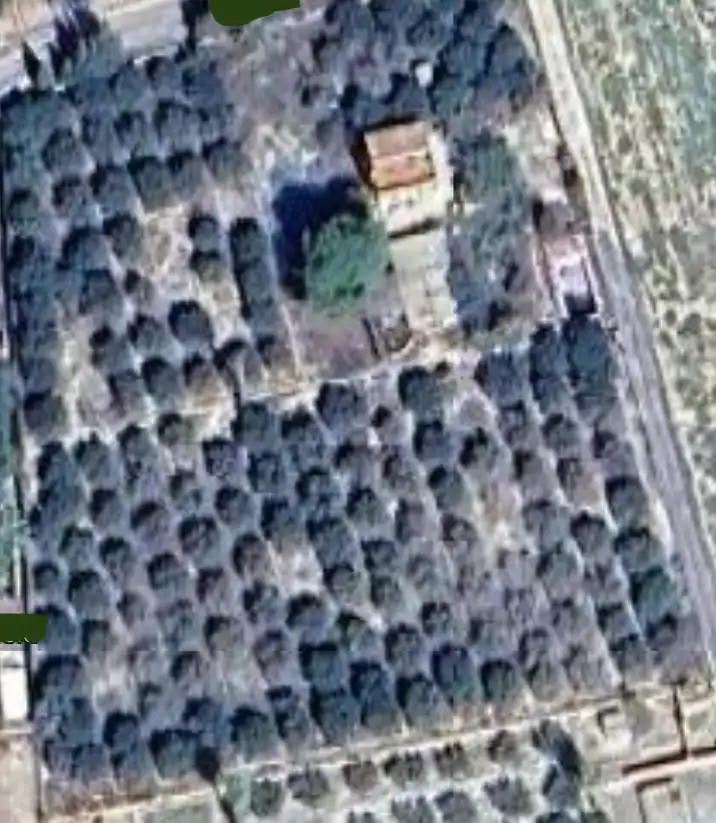 Casa o chalet en venta en Elche / Elx con Trastero y Piscina
