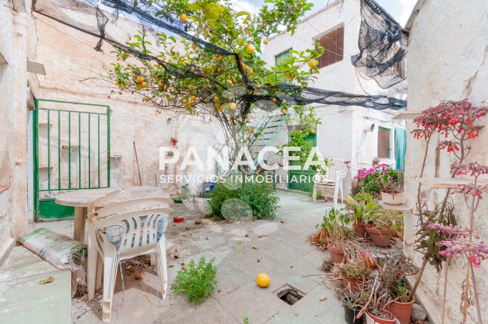 Haus oder Chalet zum Verkauf