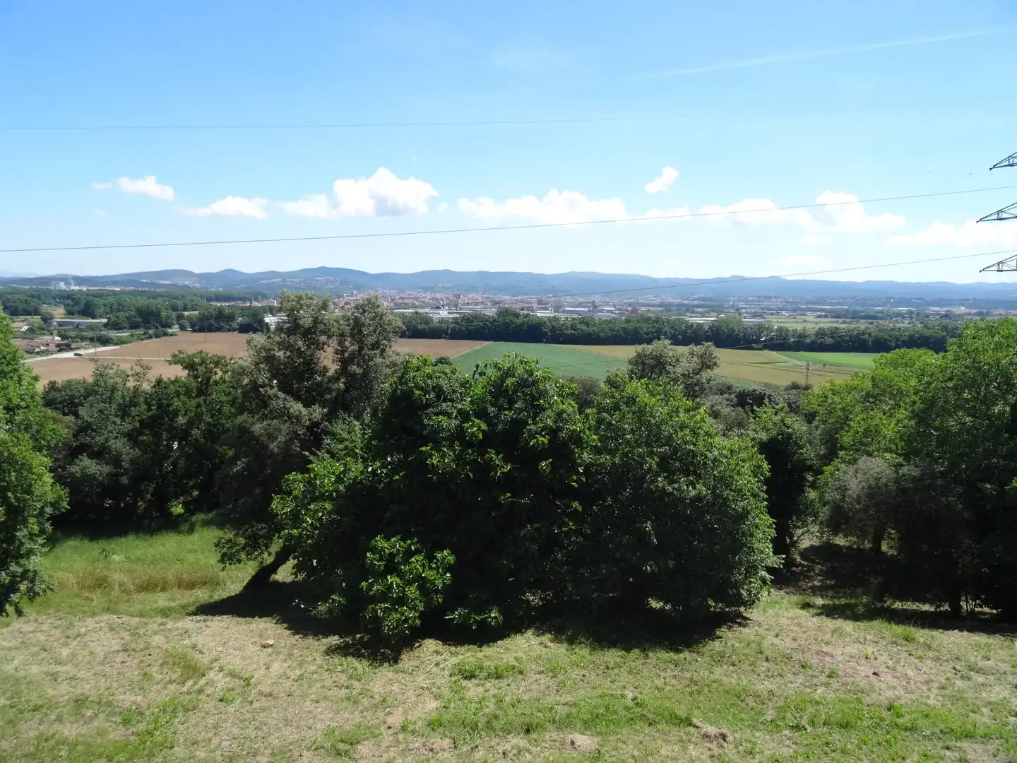 Finca rústica en venta en Bescanó