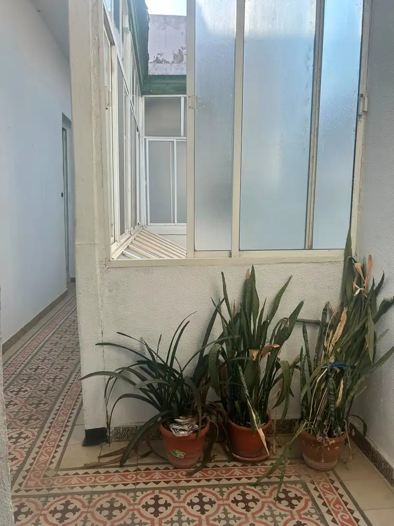 Vista exterior de Casa o chalet en venta en San Fernando con Terraza y Balcón