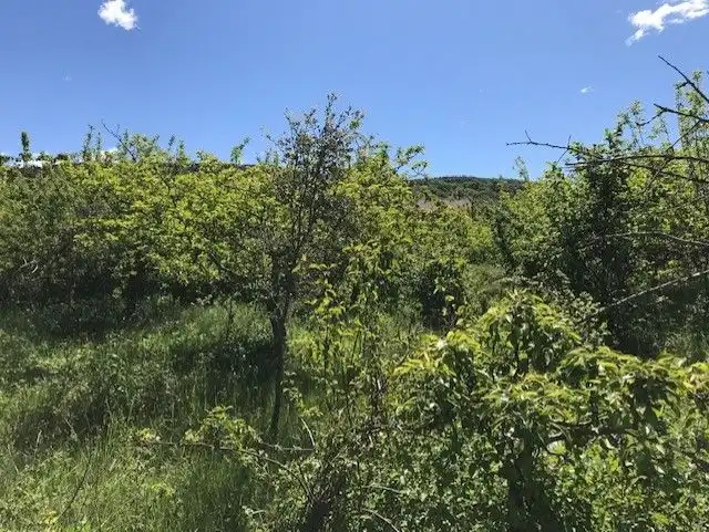 Terreni e lotti in vendita a El Pueyo de Araguás, imagen 7