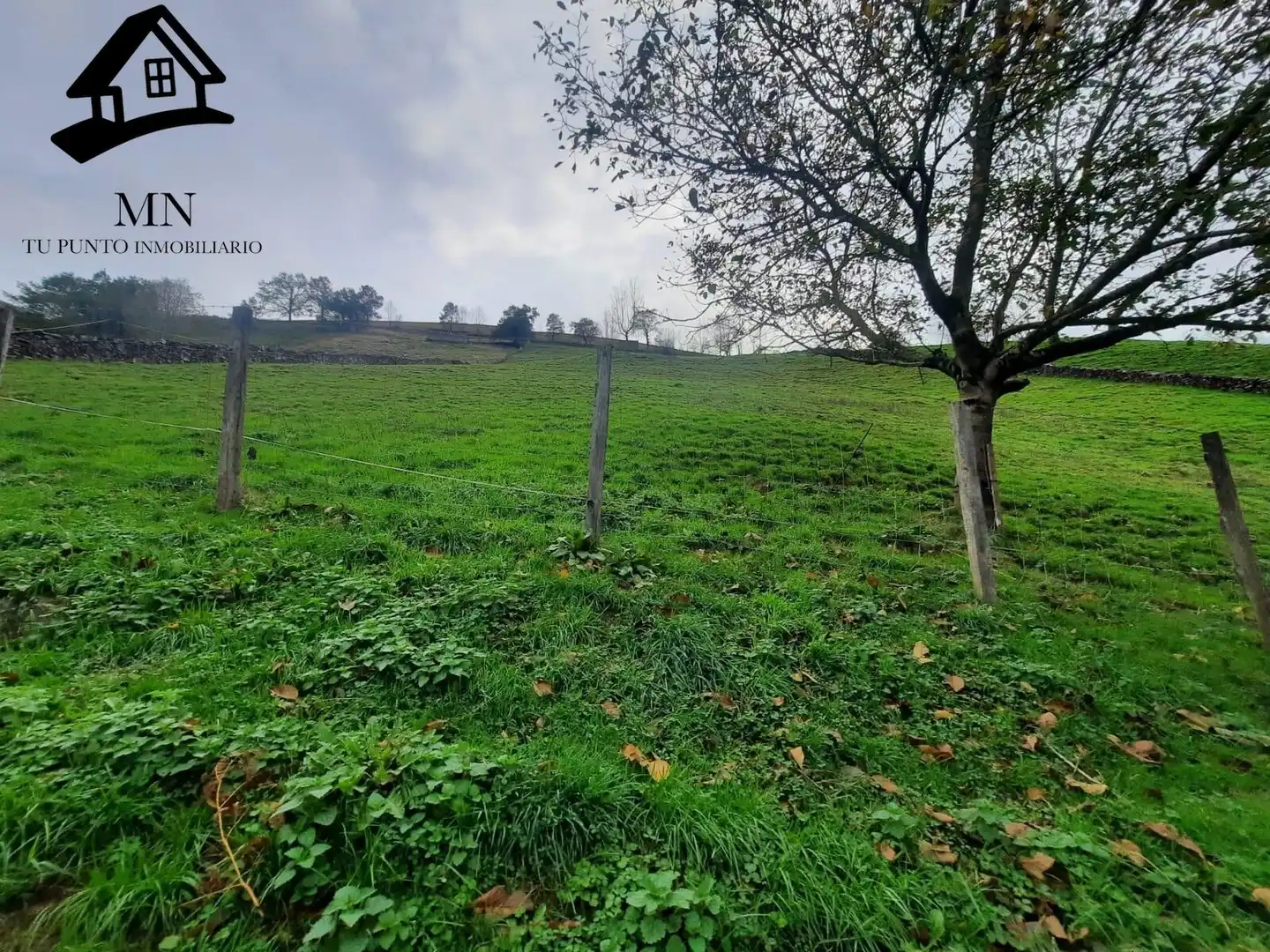 Finca rústica en venda en Vega de Pas