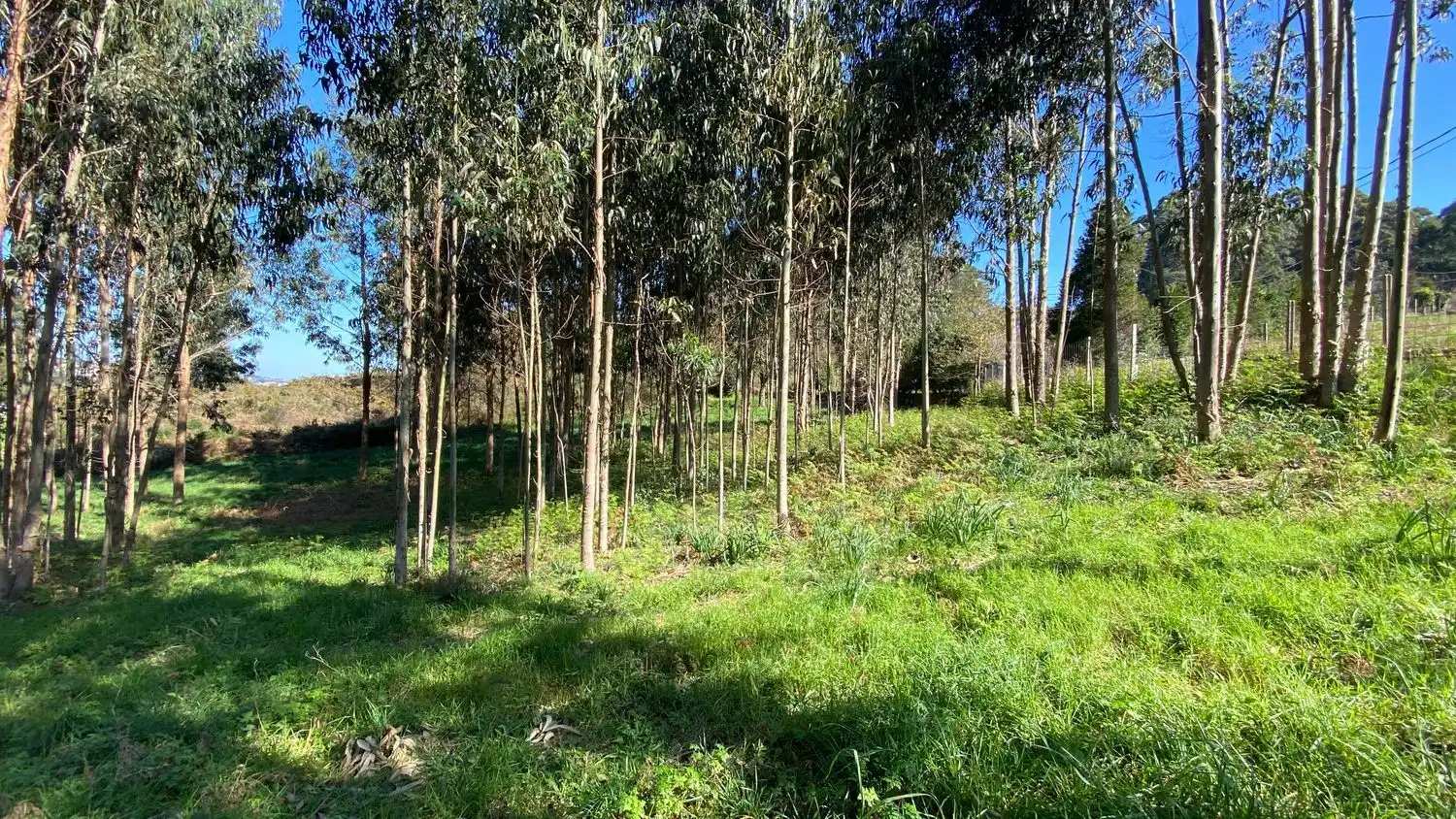 Terreni e lotti in vendita a Rúa Camiño dos Muiños 18, imagen 6