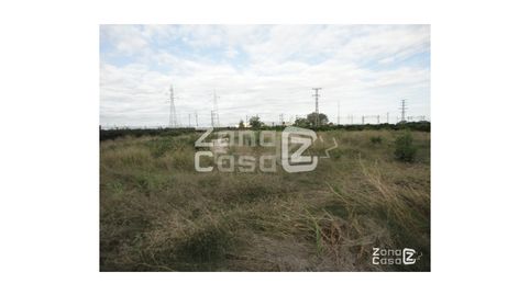 Foto 4 de Finca rústica en venda a Poligono Num 31, Urbanitzacions i Pedanies Sud, Alzira