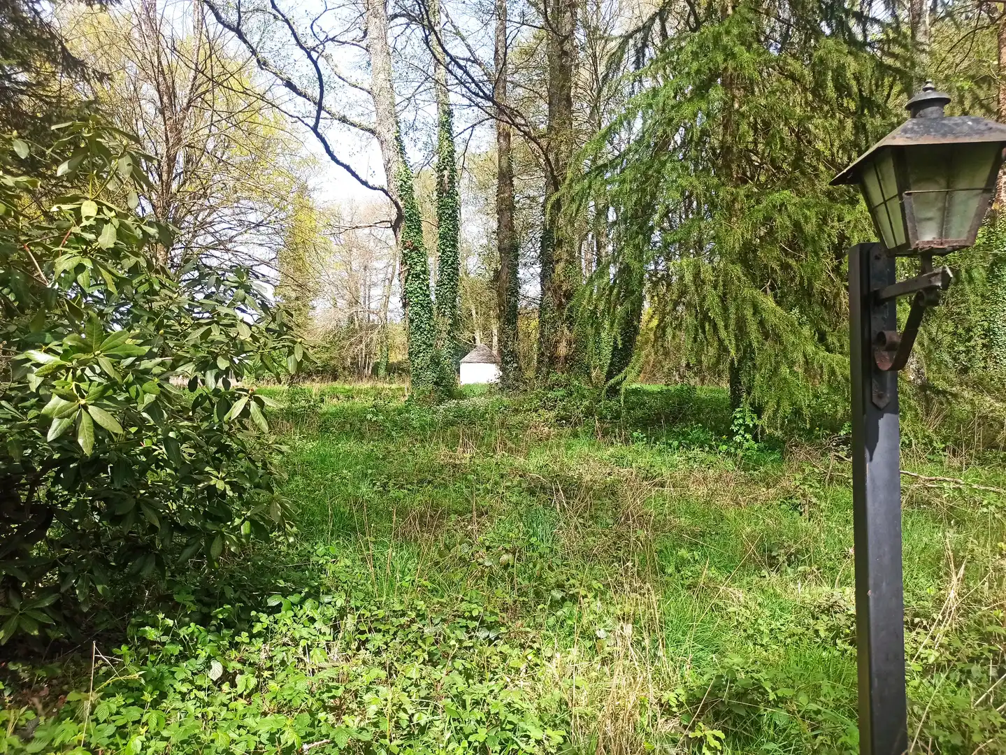 Terreni e lotti in vendita a Parroquias del Este, imagen 16