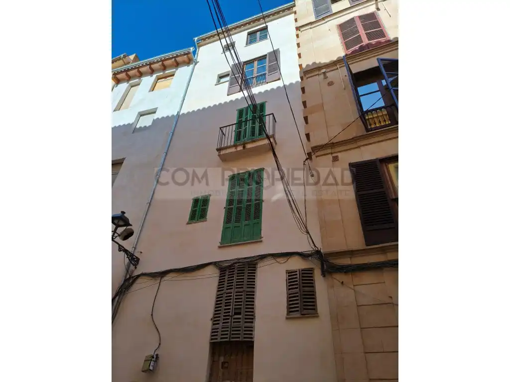 Exterior view of Buildings for sale in  Palma de Mallorca