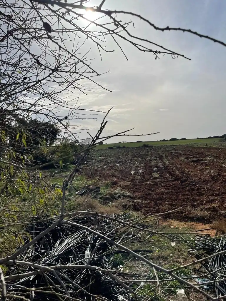 Rural land for sale in Barrio Nuevo, imagen 5