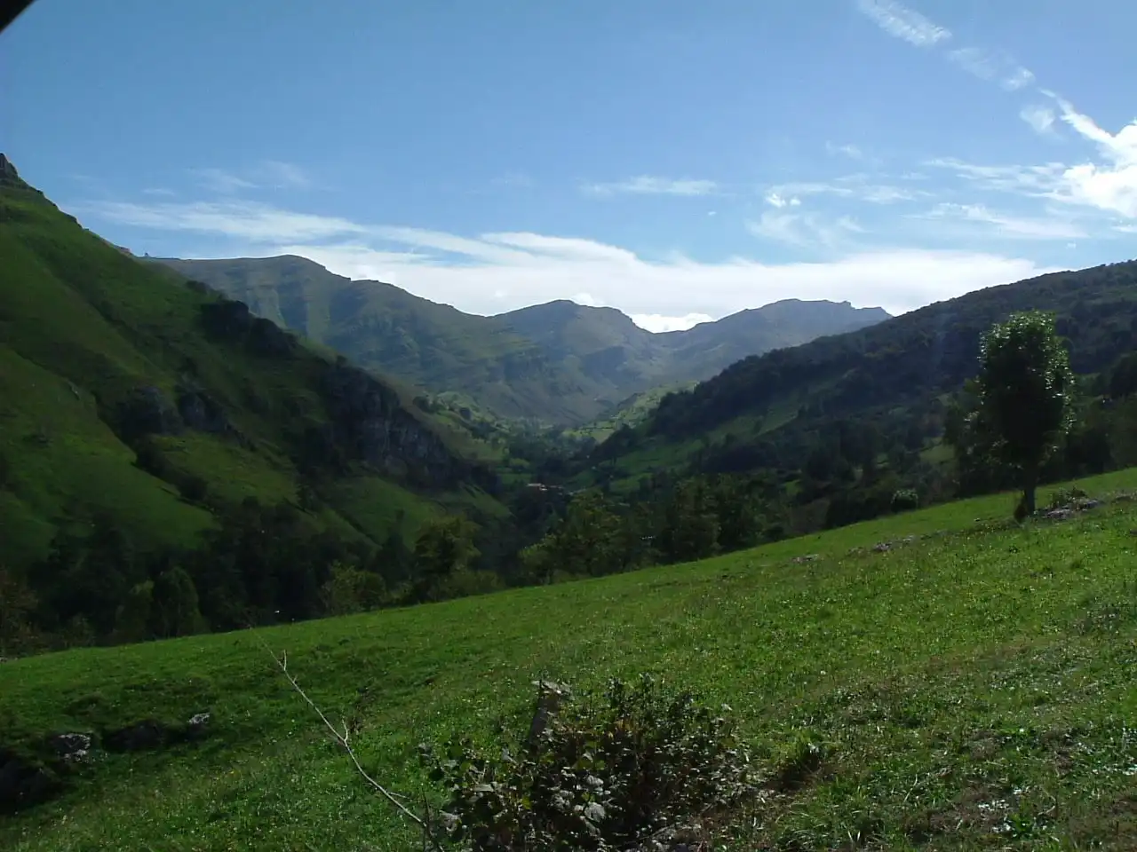 Vista exterior de Finca rústica en venta en San Roque de Riomiera con Jardín privado