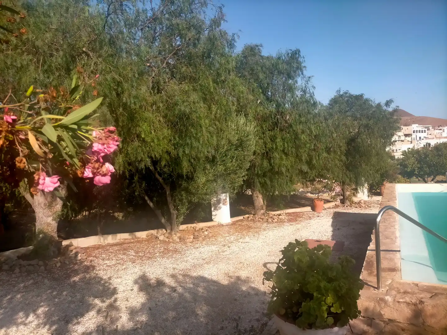 Jardín de Finca rústica en venta en Níjar con Aire acondicionado, Calefacción y Jardín privado