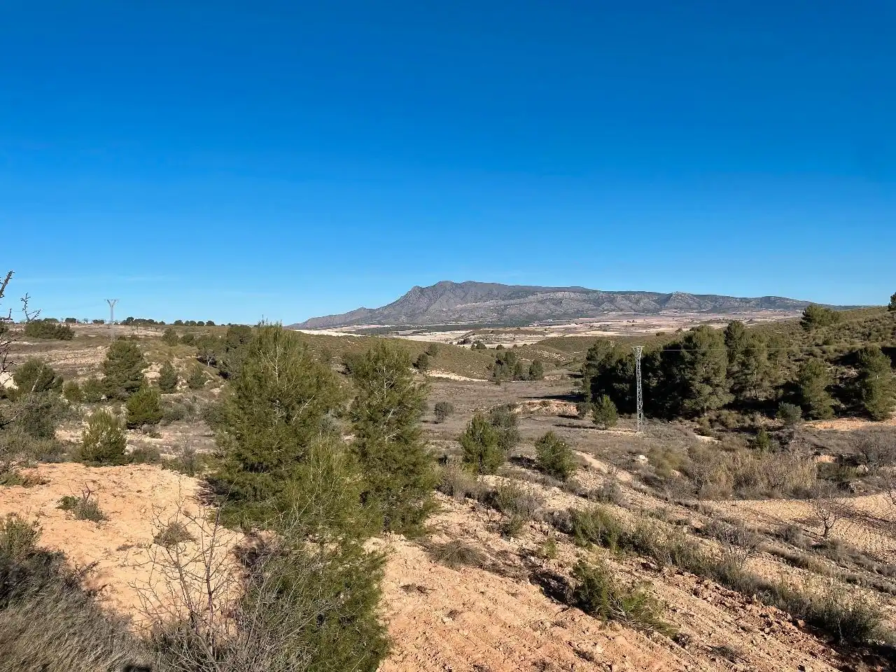 Rustikales Grundstück zum Verkauf in Jumilla, imagen 5